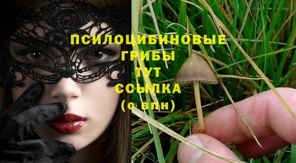 крисы Михайлов
