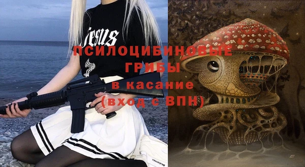 крисы Михайлов