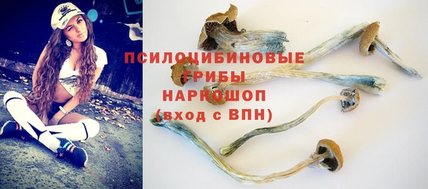 стаф Михайловка