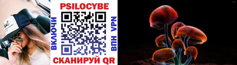 Галлюциногенные грибы мицелий  Купить где  Кремёнки 